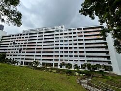 Blk 203 Petir Road (Bukit Panjang), HDB 4 Rooms #498891231